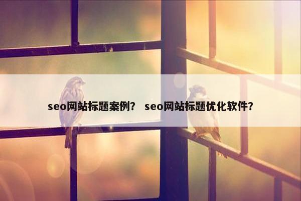 seo网站标题案例？ seo网站标题优化软件？