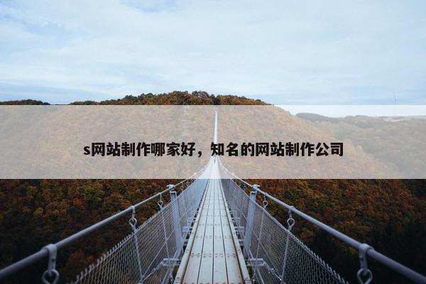 s网站制作哪家好，知名的网站制作公司