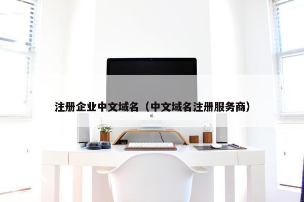 注册企业中文域名（中文域名注册服务商）
