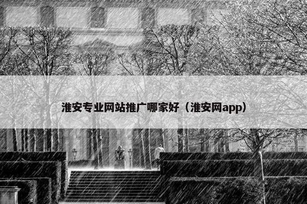 淮安专业网站推广哪家好（淮安网app）