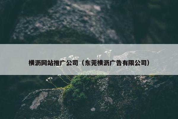 横沥网站推广公司（东莞横沥广告有限公司）