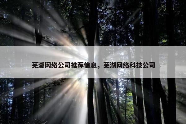 芜湖网络公司推荐信息，芜湖网络科技公司