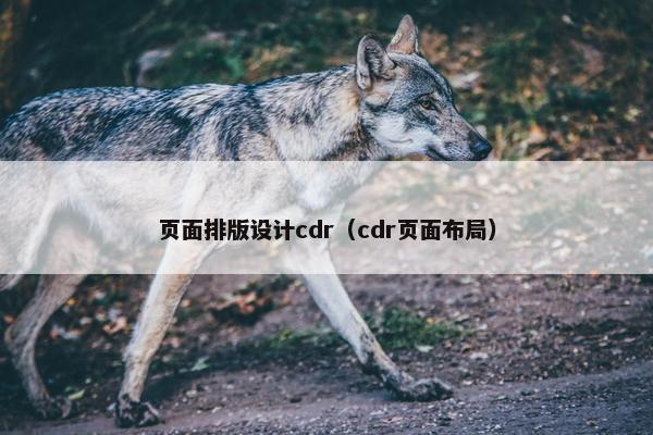 页面排版设计cdr（cdr页面布局）