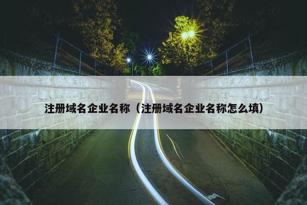 注册域名企业名称（注册域名企业名称怎么填）