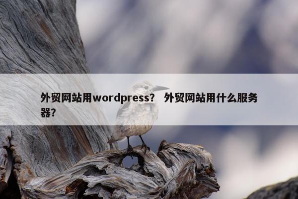外贸网站用wordpress？ 外贸网站用什么服务器？