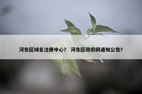 河东区域名注册中心？ 河东区政府网通知公告？