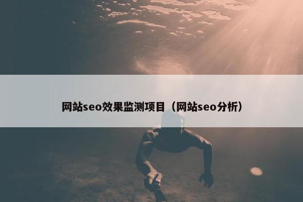 网站seo效果监测项目（网站seo分析）
