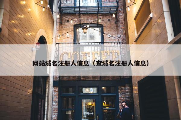 网站域名注册人信息（查域名注册人信息）