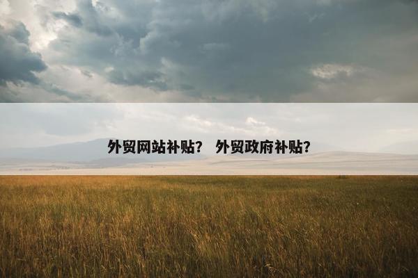 外贸网站补贴？ 外贸政府补贴？