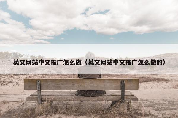 英文网站中文推广怎么做（英文网站中文推广怎么做的）