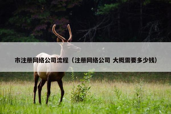 市注册网络公司流程（注册网络公司 大概需要多少钱）