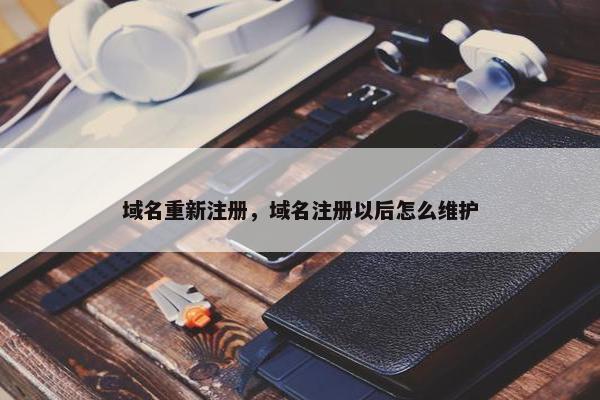 域名重新注册，域名注册以后怎么维护