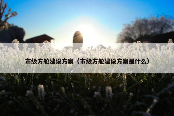 市级方舱建设方案（市级方舱建设方案是什么）