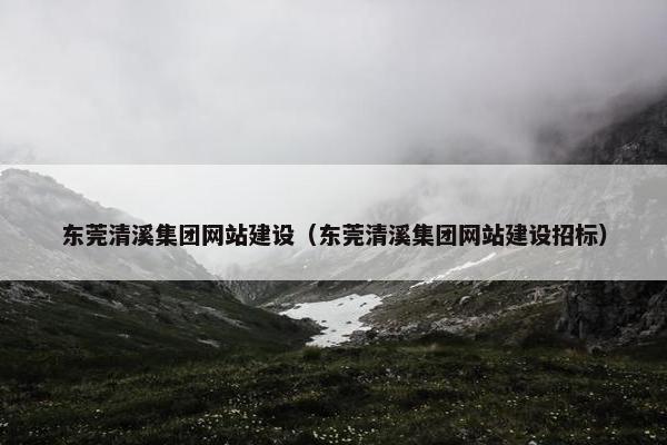 东莞清溪集团网站建设（东莞清溪集团网站建设招标）