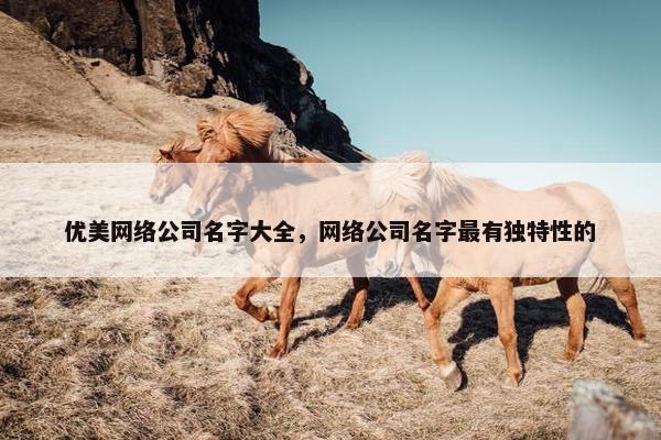 优美网络公司名字大全，网络公司名字最有独特性的