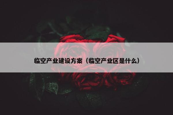 临空产业建设方案（临空产业区是什么）
