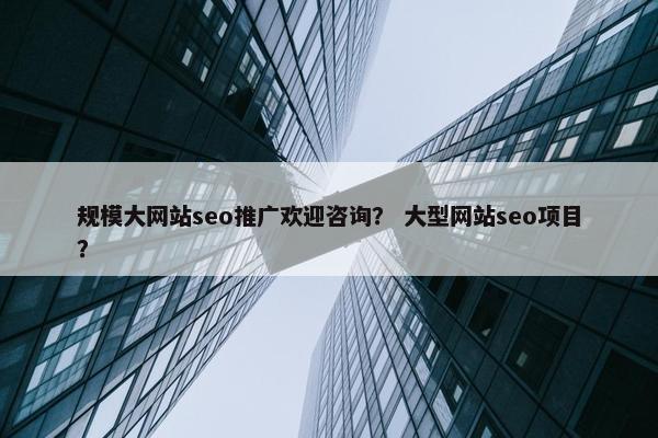 规模大网站seo推广欢迎咨询？ 大型网站seo项目？