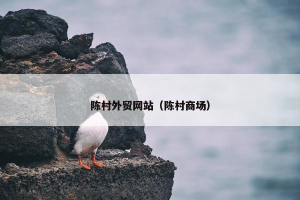 陈村外贸网站（陈村商场）