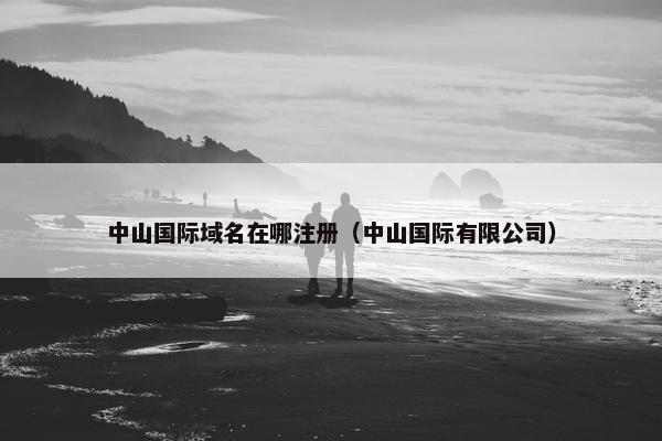中山国际域名在哪注册（中山国际有限公司）