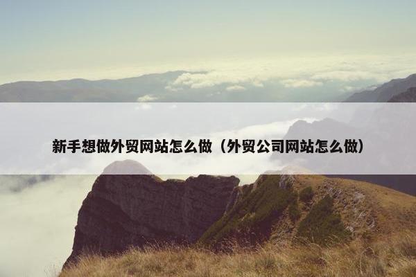新手想做外贸网站怎么做（外贸公司网站怎么做）