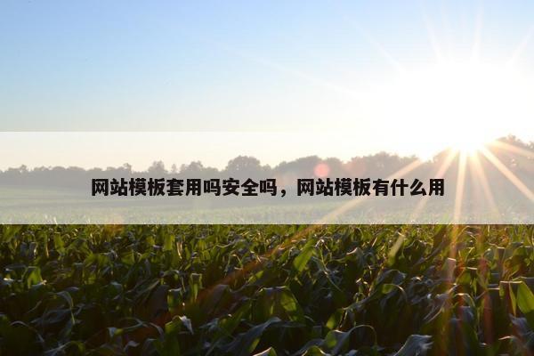 网站模板套用吗安全吗，网站模板有什么用