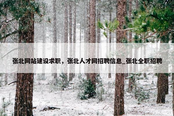 张北网站建设求职，张北人才网招聘信息_张北全职招聘