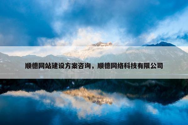 顺德网站建设方案咨询，顺德网络科技有限公司