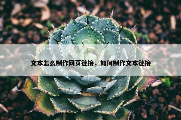 文本怎么制作网页链接，如何制作文本链接