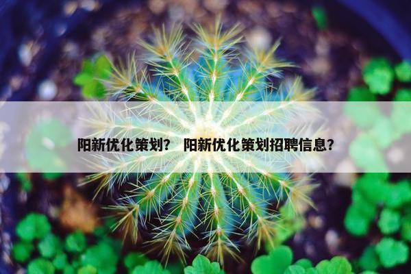 阳新优化策划？ 阳新优化策划招聘信息？