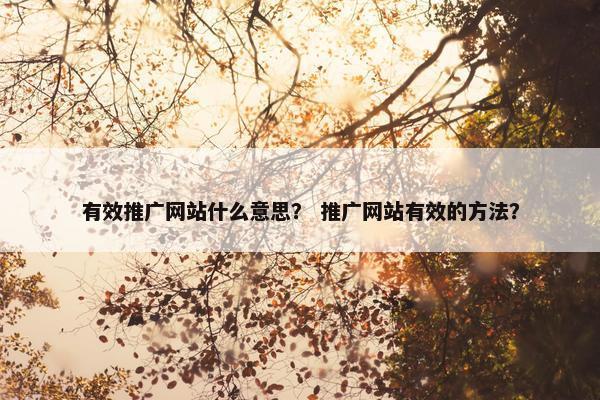 有效推广网站什么意思？ 推广网站有效的方法？
