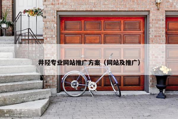 井陉专业网站推广方案（网站及推广）