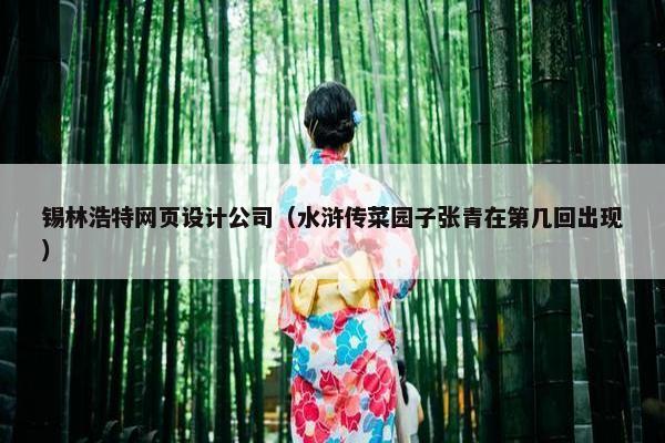 锡林浩特网页设计公司（水浒传菜园子张青在第几回出现）