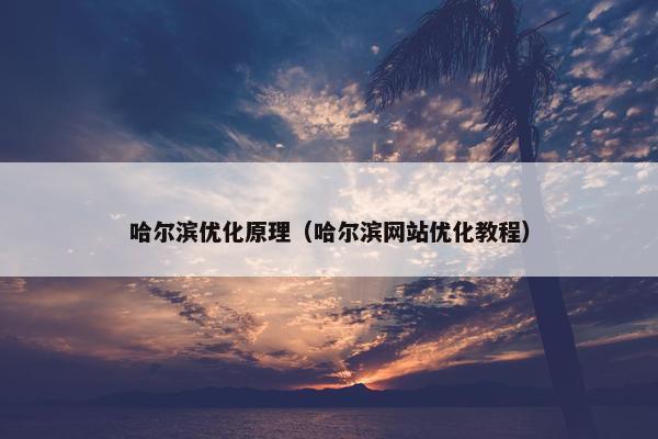 哈尔滨优化原理（哈尔滨网站优化教程）