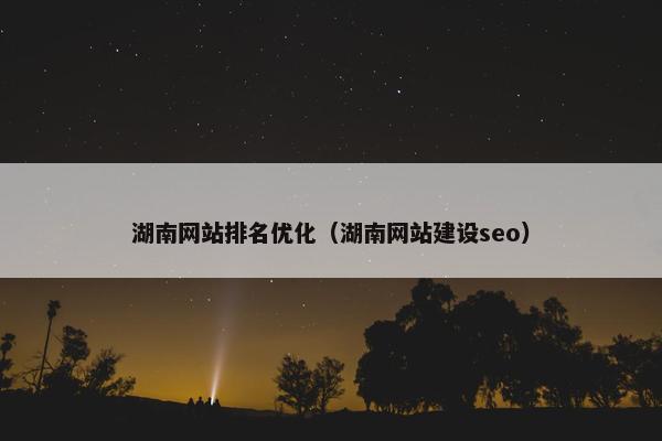 湖南网站排名优化（湖南网站建设seo）