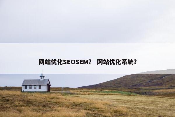 网站优化SEOSEM？ 网站优化系统？