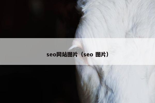 seo网站图片（seo 图片）