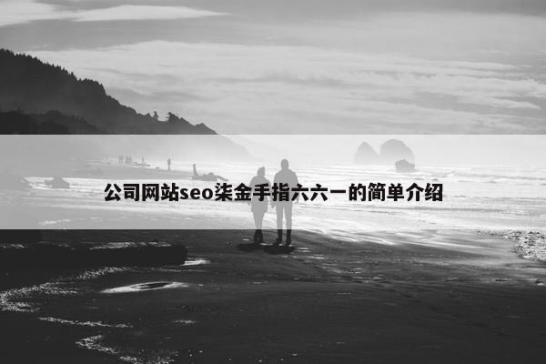 公司网站seo柒金手指六六一的简单介绍