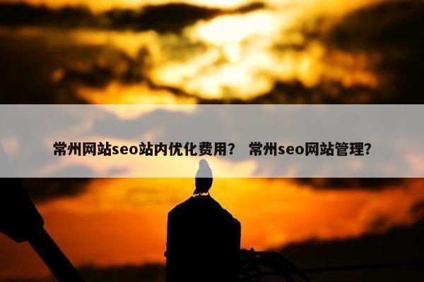 常州网站seo站内优化费用？ 常州seo网站管理？