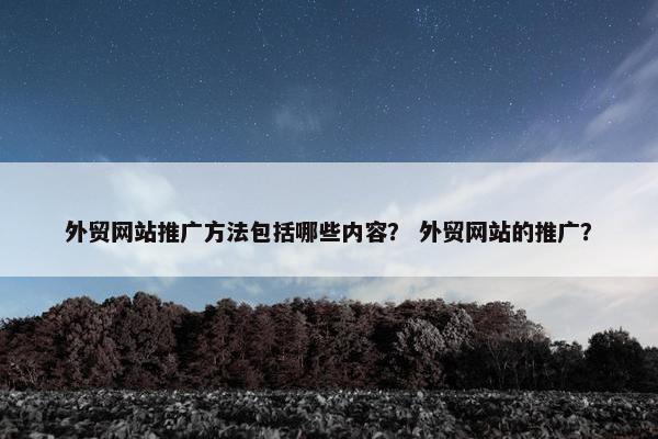 外贸网站推广方法包括哪些内容？ 外贸网站的推广？