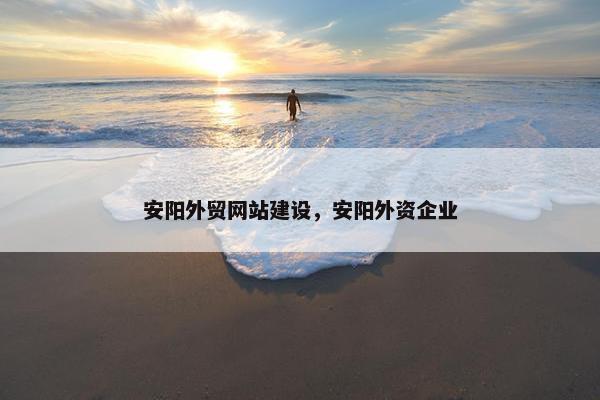 安阳外贸网站建设，安阳外资企业
