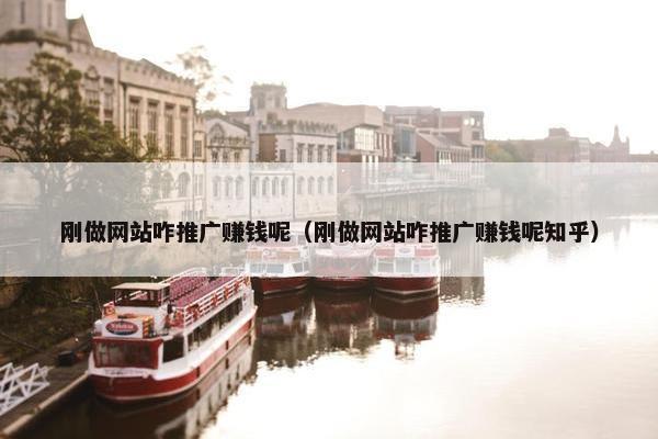 刚做网站咋推广赚钱呢（刚做网站咋推广赚钱呢知乎）