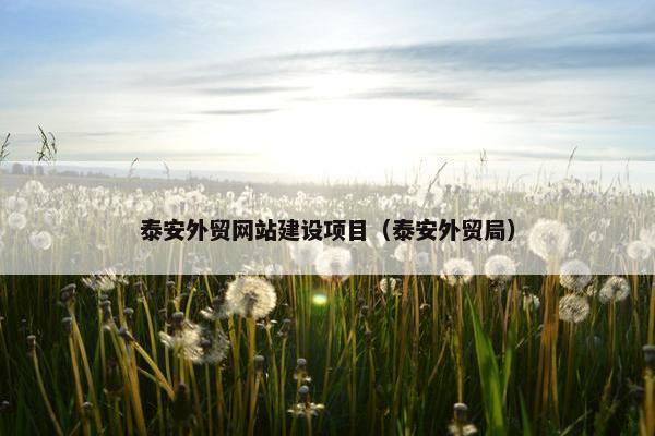 泰安外贸网站建设项目（泰安外贸局）