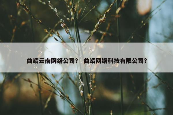 曲靖云南网络公司？ 曲靖网络科技有限公司？