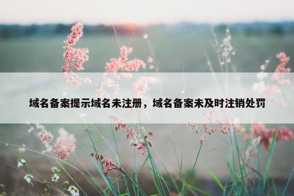 域名备案提示域名未注册，域名备案未及时注销处罚