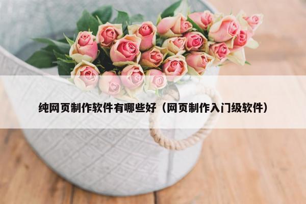 纯网页制作软件有哪些好（网页制作入门级软件）