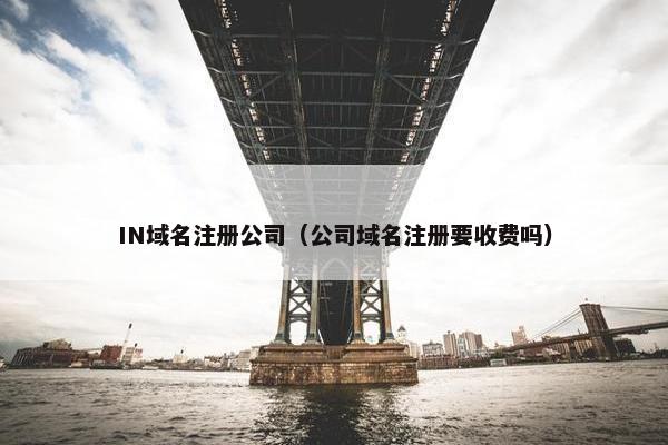 IN域名注册公司（公司域名注册要收费吗）
