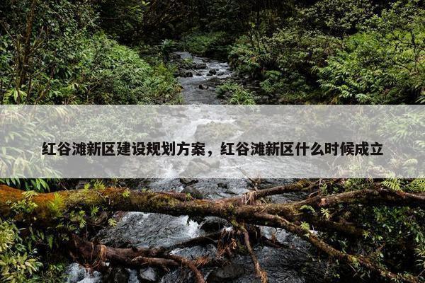 红谷滩新区建设规划方案，红谷滩新区什么时候成立
