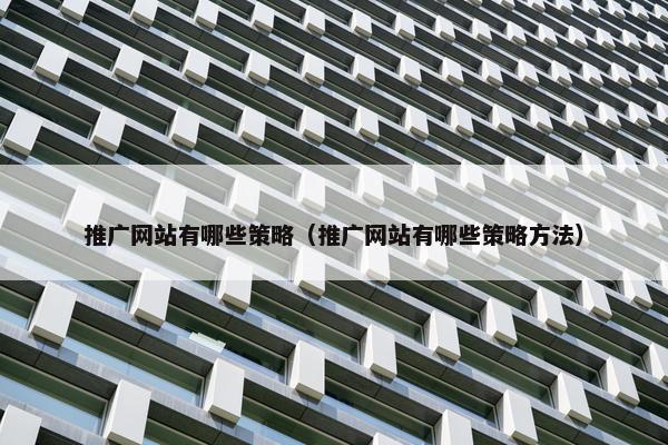 推广网站有哪些策略（推广网站有哪些策略方法）