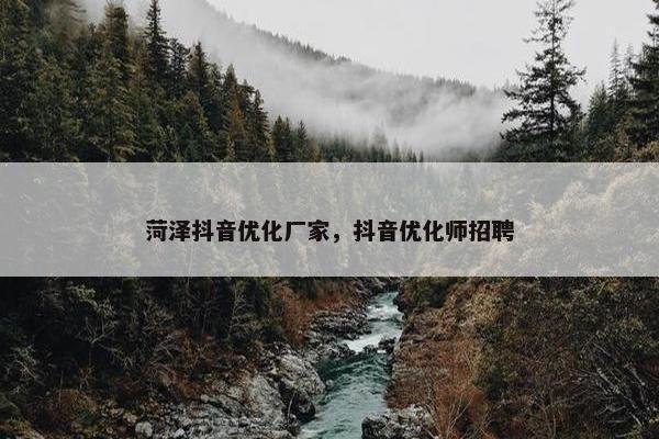 菏泽抖音优化厂家，抖音优化师招聘