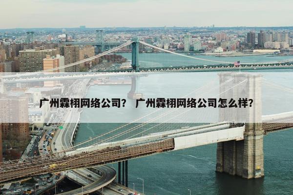 广州霖栩网络公司？ 广州霖栩网络公司怎么样？